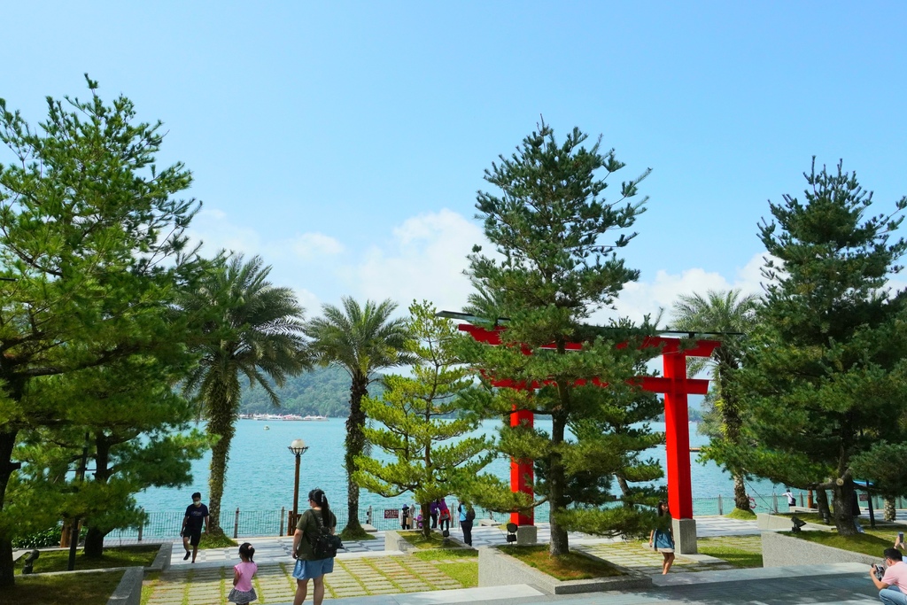 20211111_112536.jpg 20211111_112536.jpg