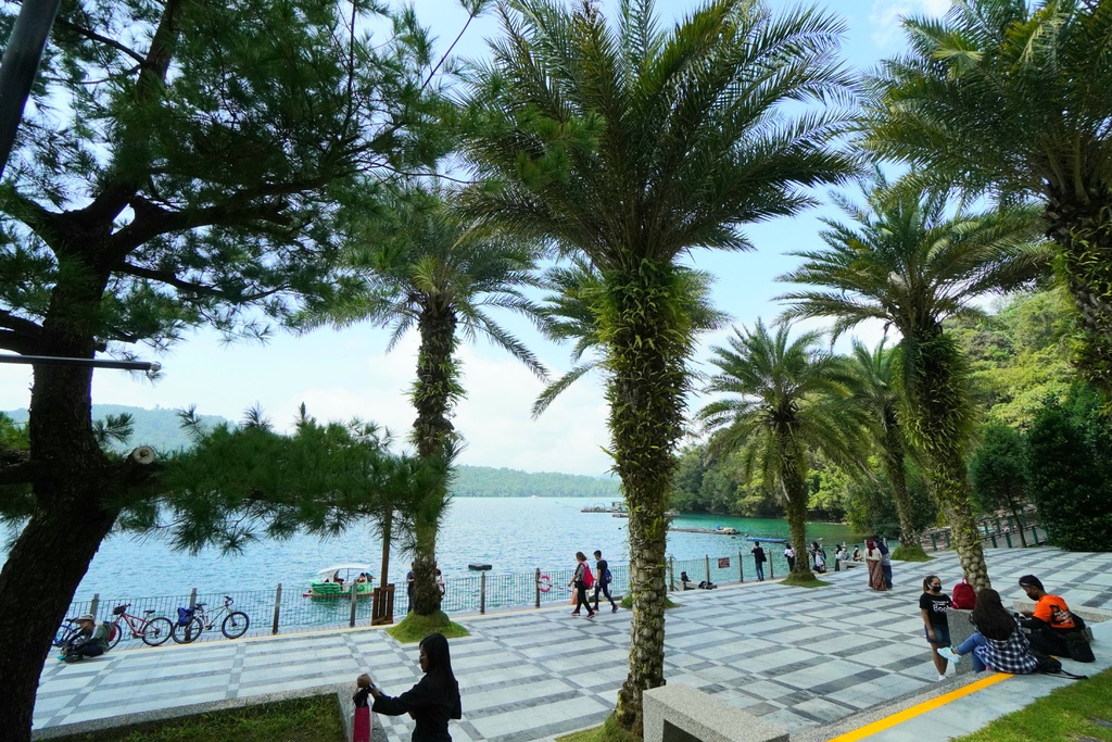 20211111_112659.jpg 20211111_112659.jpg