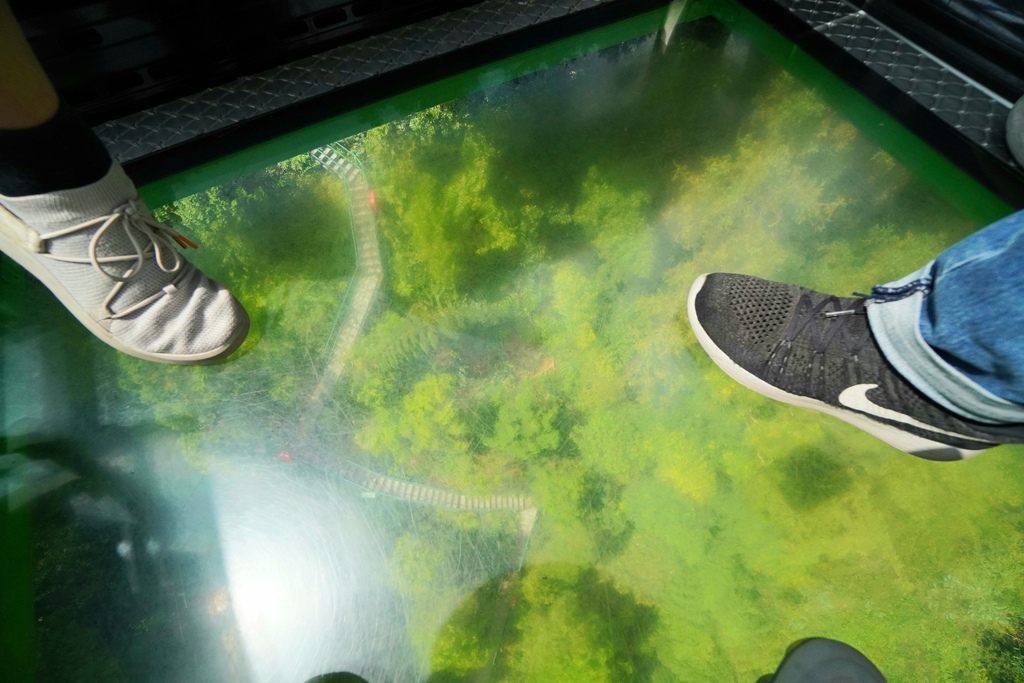 20211111_113218.jpg 20211111_113218.jpg