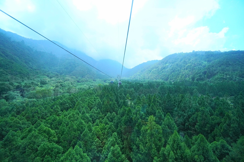 20211111_113433.jpg 20211111_113433.jpg