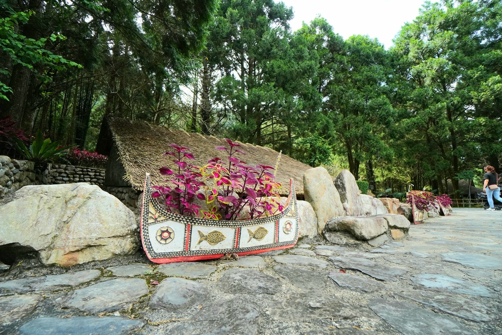 20211111_110131.jpg 20211111_110131.jpg