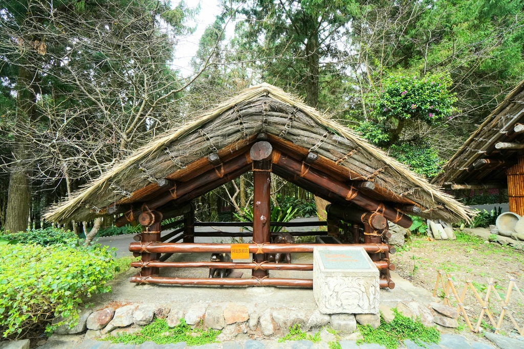 20211111_110245.jpg 20211111_110245.jpg