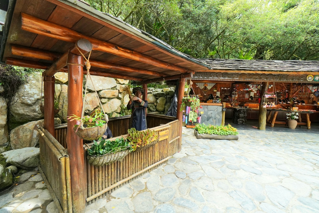 20211111_111254.jpg 20211111_111254.jpg