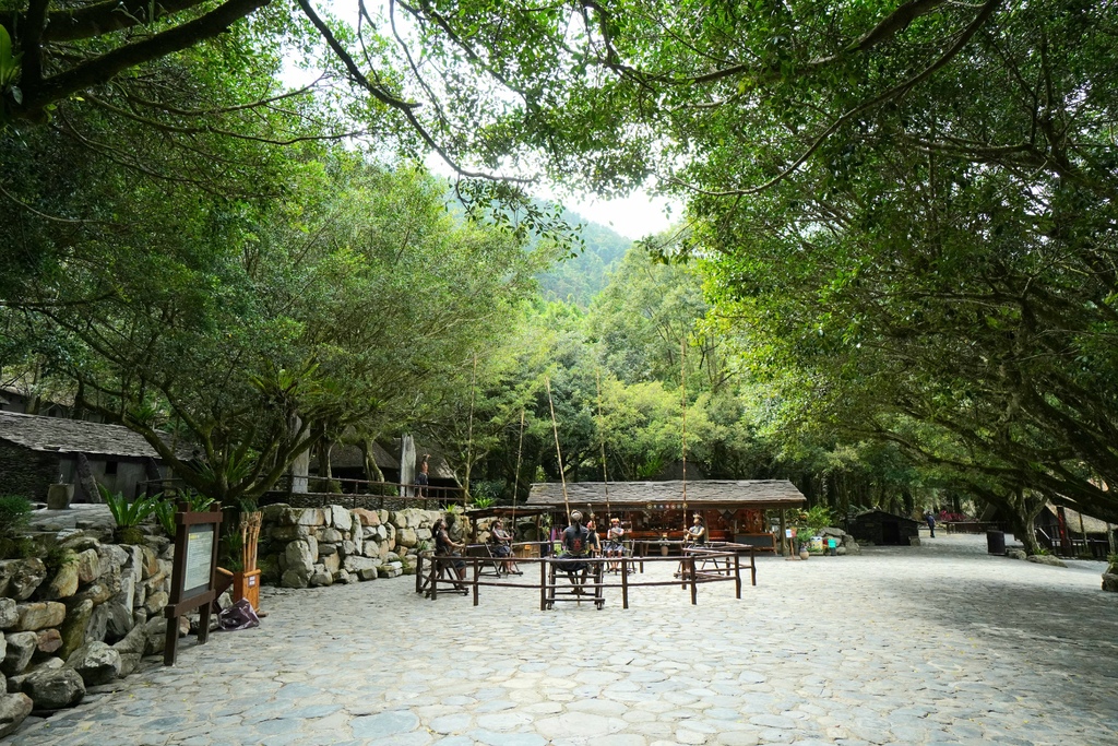 20211111_111303.jpg 20211111_111303.jpg