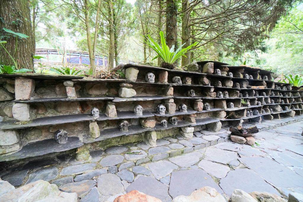 20211111_111907.jpg 20211111_111907.jpg