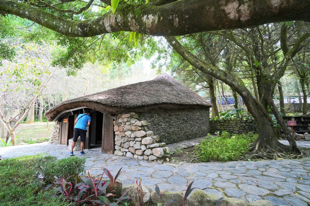 20211111_111931.jpg 20211111_111931.jpg