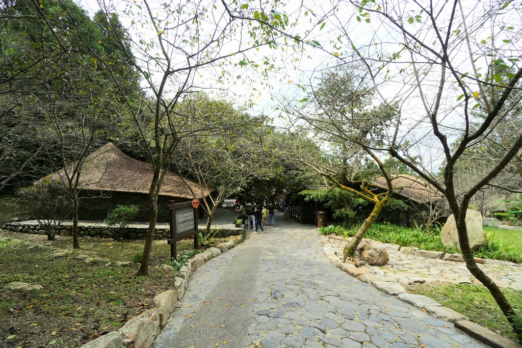 20211111_112028.jpg 20211111_112028.jpg