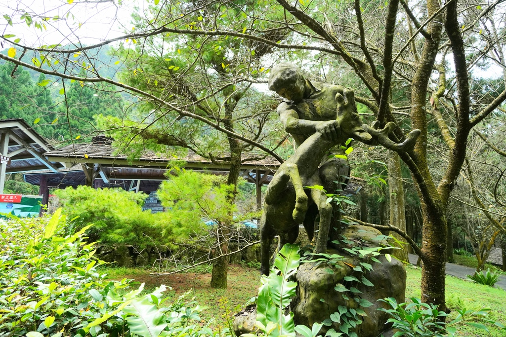 20211111_112112.jpg 20211111_112112.jpg