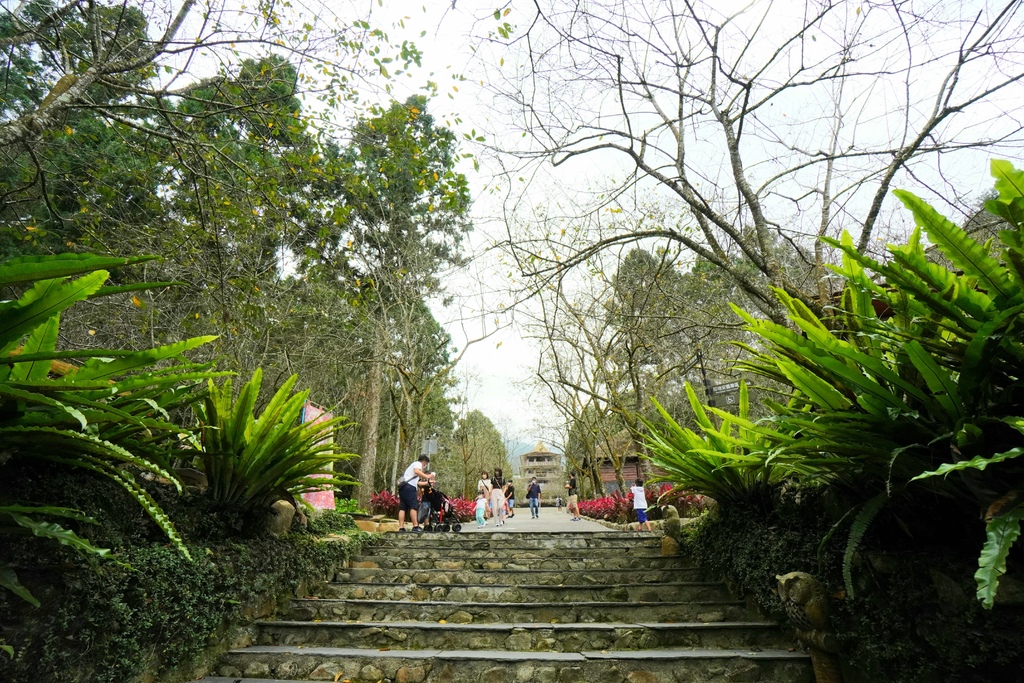 20211111_112336.jpg 20211111_112336.jpg