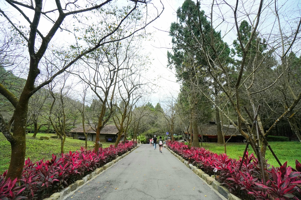 20211111_112400.jpg 20211111_112400.jpg