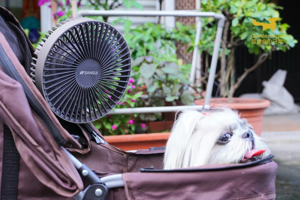 20220604_234825.jpg SANSUI山水無線充電式露營風扇SHF-W55|超方便USB風扇 掛立兩用還有LED照明 遠程遙控超輕鬆