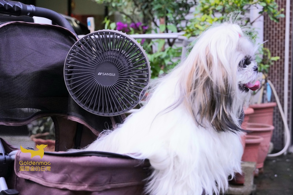 20220604_234737.jpg SANSUI山水無線充電式露營風扇SHF-W55|超方便USB風扇 掛立兩用還有LED照明 遠程遙控超輕鬆