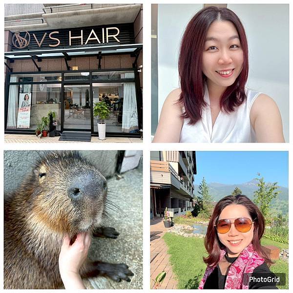 【台中最多寵物的沙龍 VS Hair｜2025爆紅髮色：霧沙