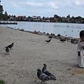 20120622 847.JPG