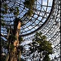 台中科博館 植物園