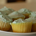 vanilla cupcakes