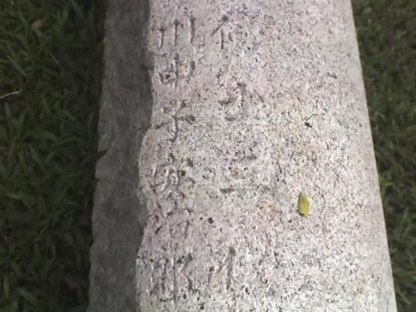 台中神社鳥居刻字(1)