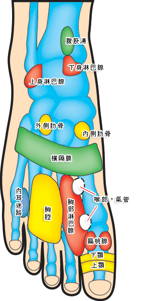 腳5.jpg