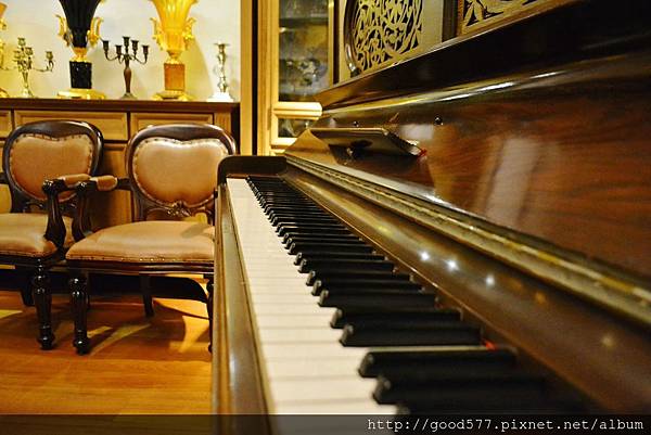 DSC_0746-min.JPG DSC_0746-min.JPG