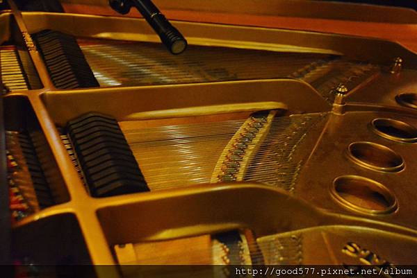 DSC_0739-min.JPG DSC_0739-min.JPG