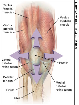 KneeJoint