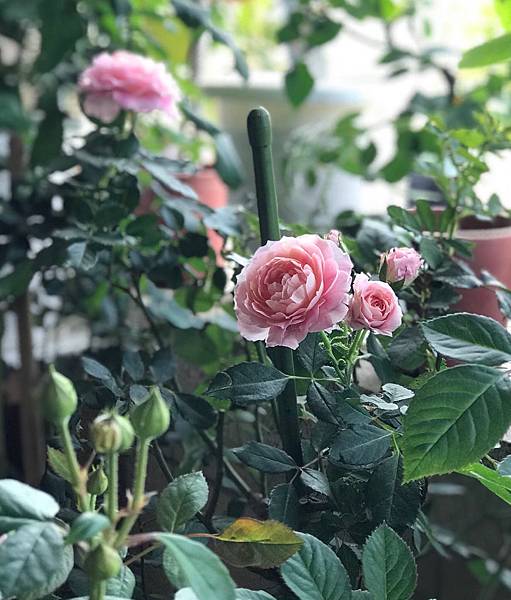 %E6%9C%AA%E5%91%BD%E5%90%8D