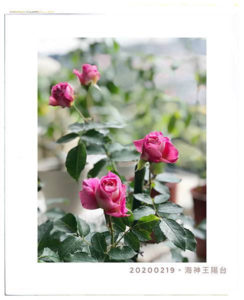 %E6%9C%AA%E5%91%BD%E5%90%8D