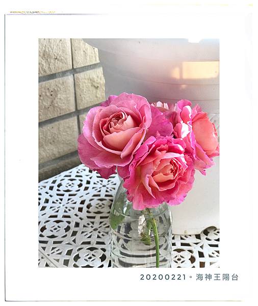 %E6%9C%AA%E5%91%BD%E5%90%8D