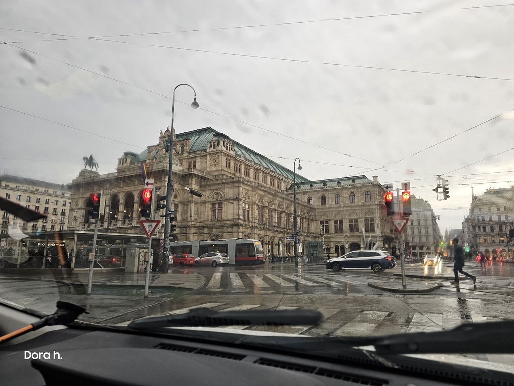[食記] 維也納薩赫酒店紅色酒吧 Rote Bar: 宮廷
