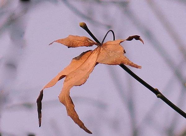 IMG_0025 IMG_0025
