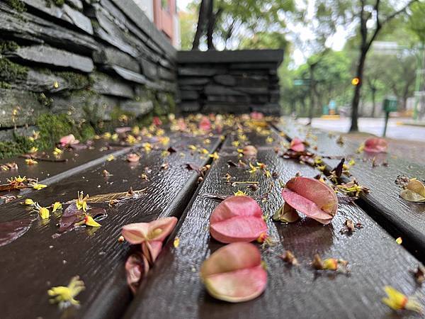 一場秋雨－場涼