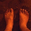 My feet