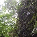 前幾天下過雨，沿途都是岩層滲水