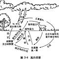 氮的循環