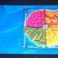 香港郵票 005