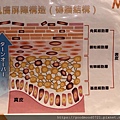 S__1269978.jpg