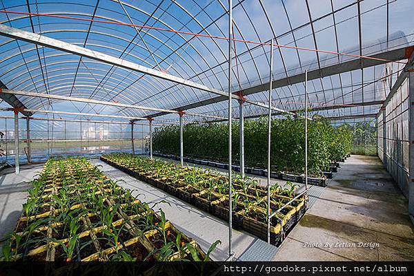 溫室-1.jpg 溫室-1.jpg