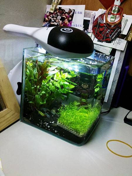 C360_2012-04-05-19-18-20