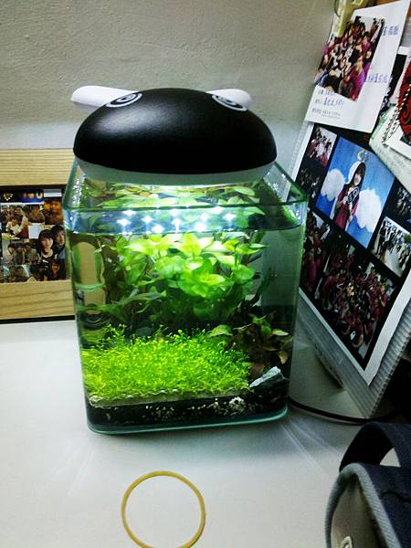 C360_2012-04-05-19-18-31