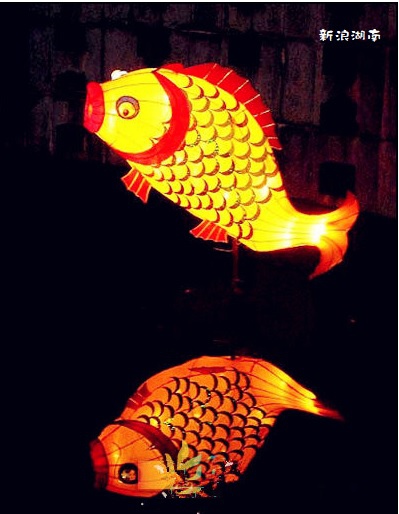 鯉魚燈.jpg