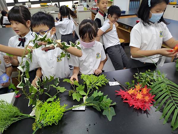 三年級第一單元--認識植物