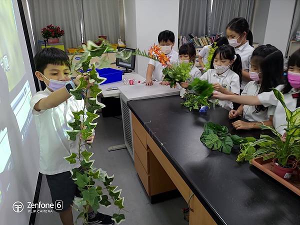 三年級第一單元--認識植物