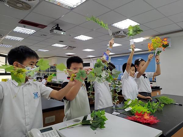 三年級第一單元--認識植物