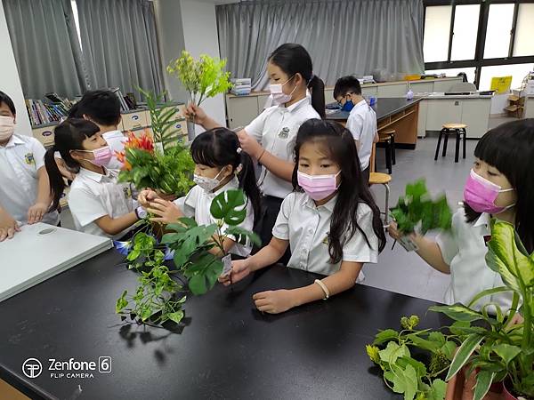 三年級第一單元--認識植物