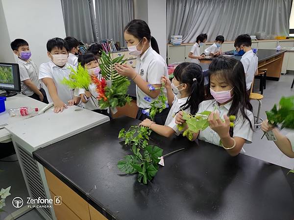 三年級第一單元--認識植物