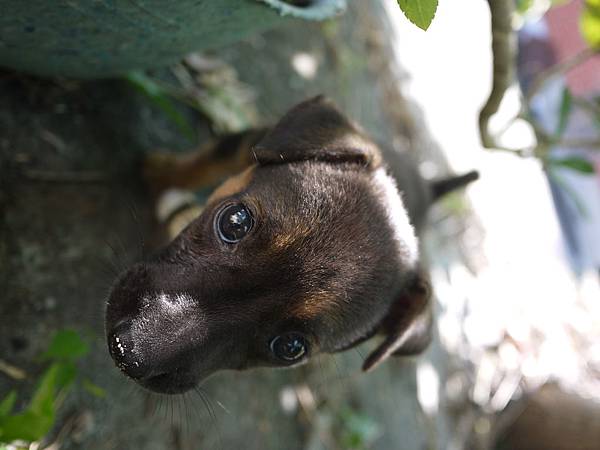 P1310034.JPG P1310034.JPG