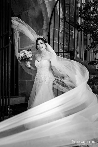 190907 Puremotion Wedding Photography Sydney Alex Huang YvonneChris_Web-0584.jpg