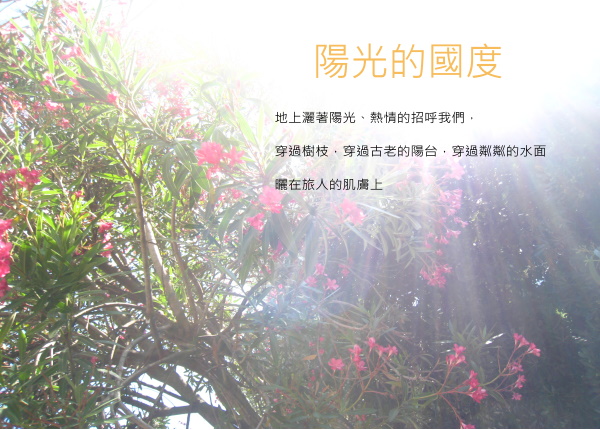 陽光.jpg