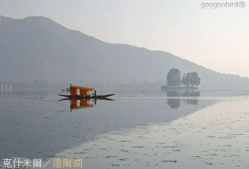 India215 Shikara rowing on Dal Lake.jpg