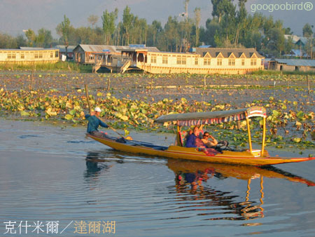 India222 farewell Srinaga Dal Lake.jpg